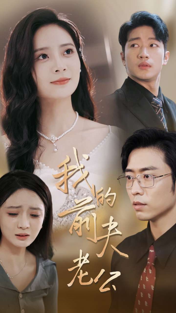 我的前夫老公第21-40集