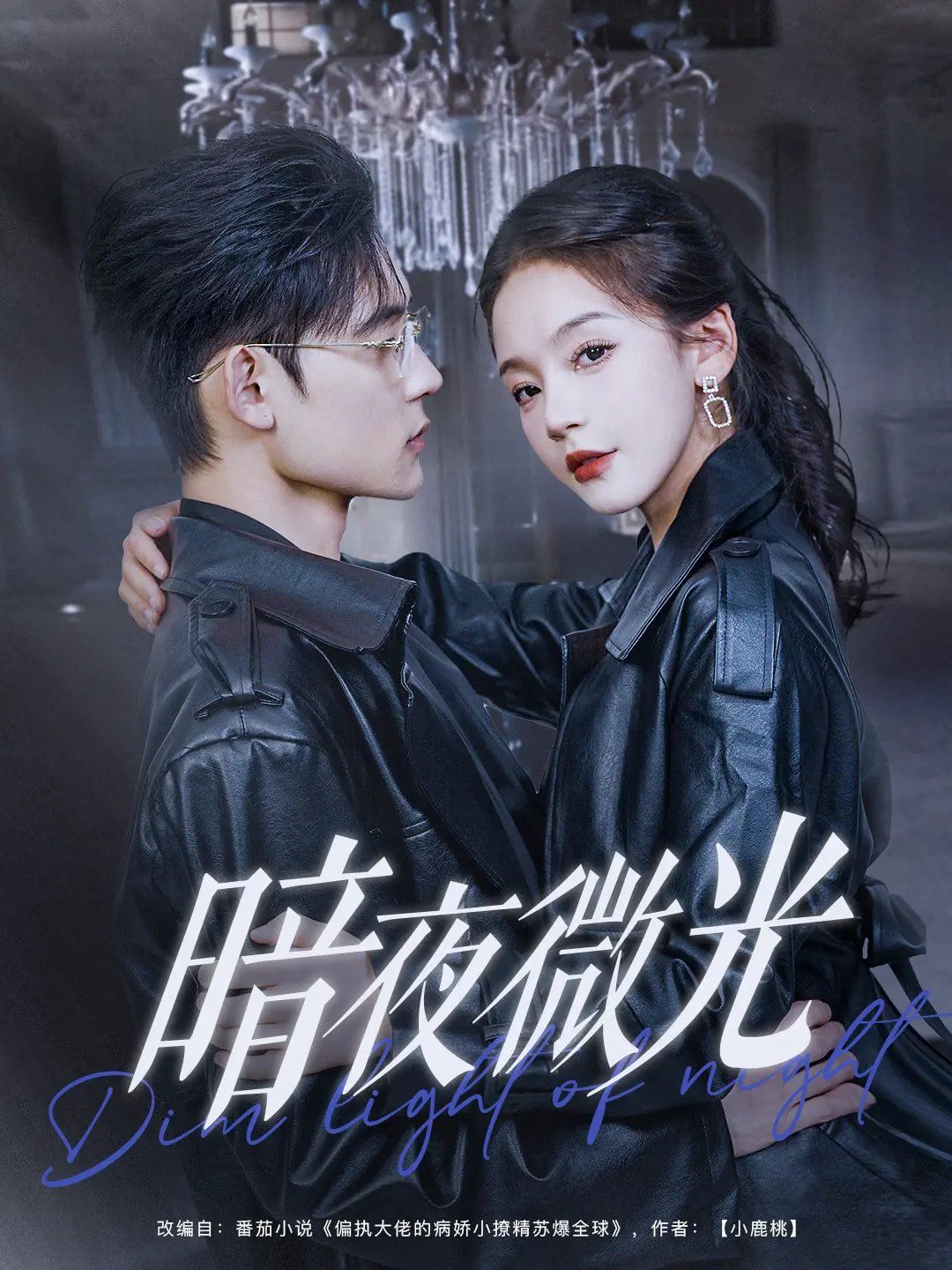 暗夜微光第21-40集