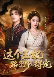 这个王妃路子野，得宠(全集)