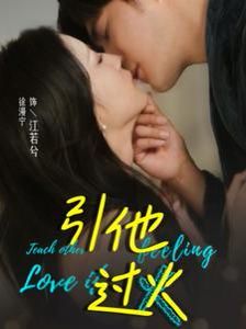 引他过火第1-20集