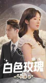 白色玫瑰第41-60集