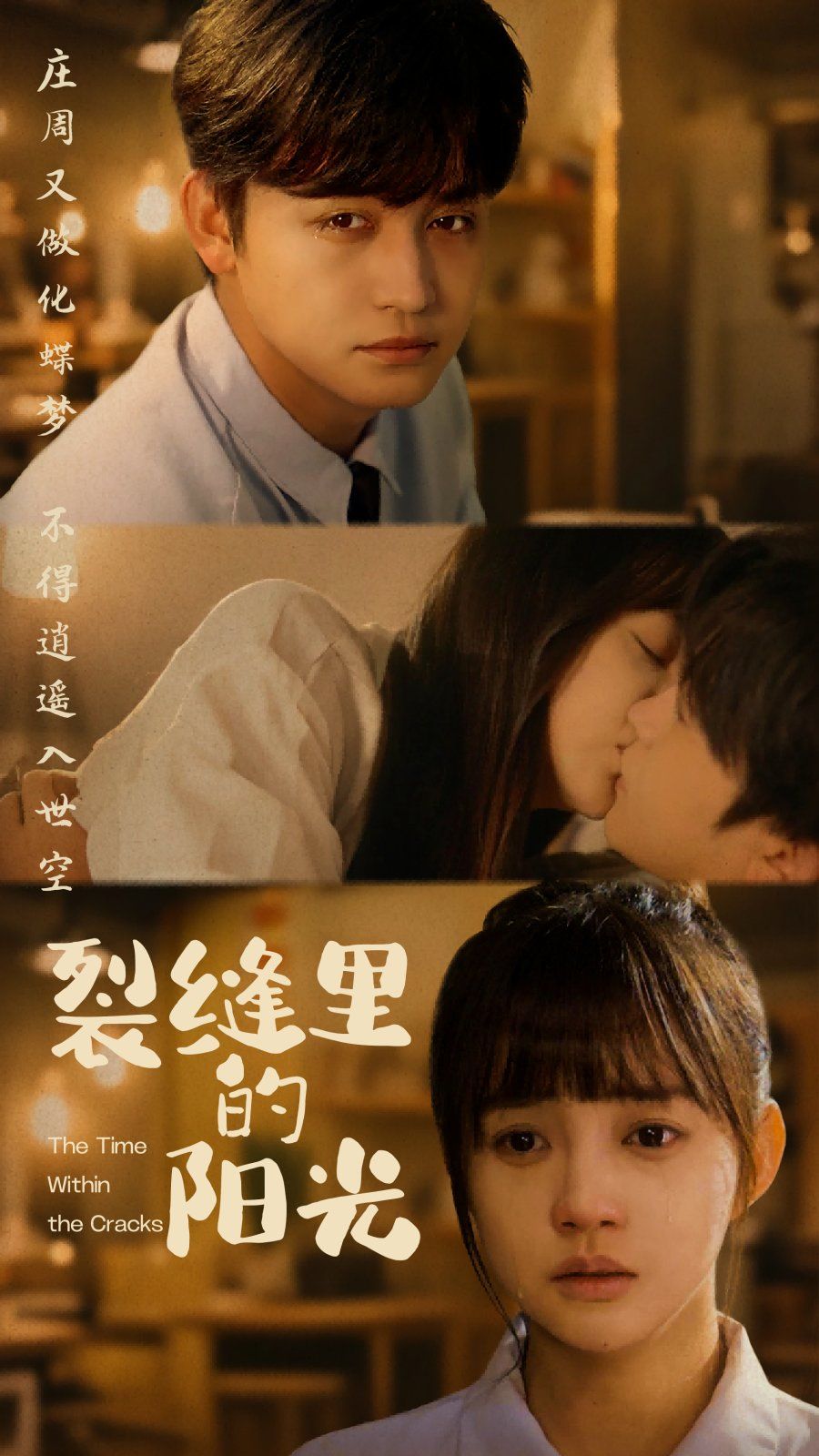 裂缝里的阳光第1-35集
