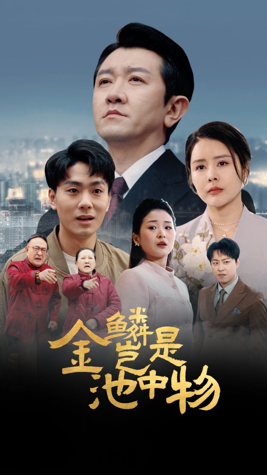 金Lin岂是池中物第1-30集