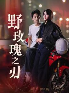 野玫瑰之刃第21-40集
