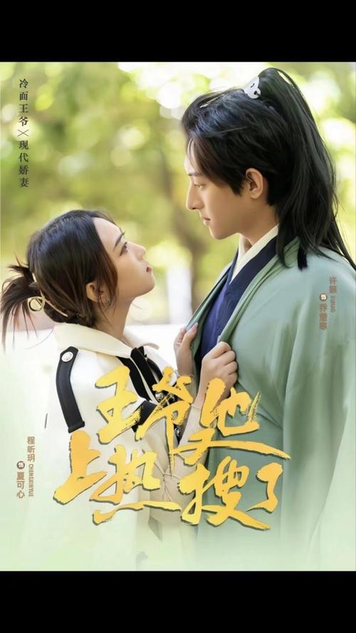 王爷他又上热搜了第21-40集