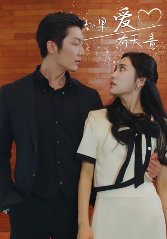 新如果爱有天意第41-60集