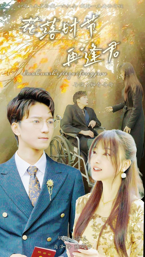 落花时节再逢君第21-40集