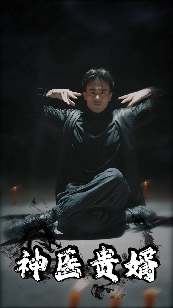 神医贵婿第21-40集