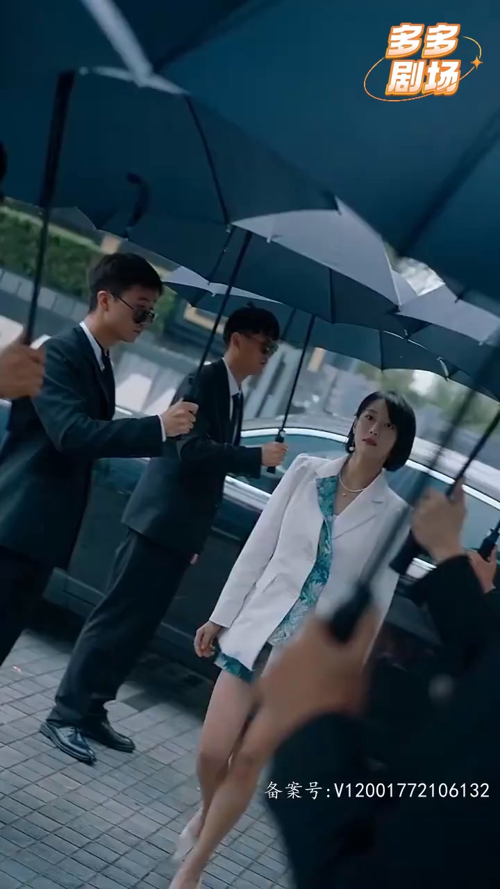 闻先生的马甲又掉了HD中字(大结局)