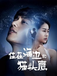 住在海边的猫头鹰HD